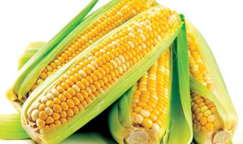 Ціни на кукурудзу у США зростають на тлі закриття зернового коридору Рис.1
