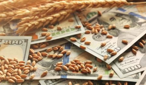 Ціни на пшеницю опускаються на тлі прискорення збирання та покращення стану посівів у США Рис.1