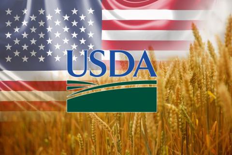 Ціни на пшеницю впали на 2-4,6%, попри зниження прогнозів світового виробництва та запасів у звіті USDA Рис.1