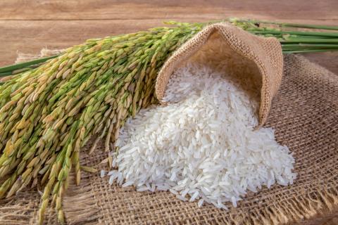Індія запровадила заборону на експорт рису Рис.1
