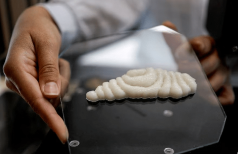 Ізраїльський стартап підписав угоду на 3D-друк риби Рис.1