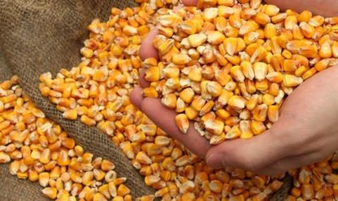 Посівні площі кукурудзи в США досягли 10-річного максимуму, оскільки фермери скорочують посіви сої, - огляд іноземних ЗМІ 3-4.07.2023 Рис.1