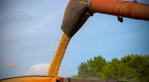 У 2023 році в Україні буде зібрано трохи менше 50 млн тонн зерна,-Укргідрометеоцентр Рис.1