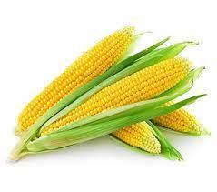 Україна експортувала перший мільйон тонн кукурудзи в новому маркетинговому році Рис.1