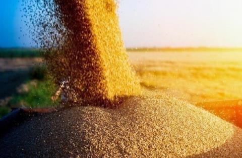 Україна продовжить постачати зерно іншим країнам, попри вихід РФ із «зернової угоди» – СтратКом ЗСУ Рис.1