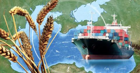 Україна запроваджує тимчасовий судноплавний маршрут для зернових перевезень Рис.1