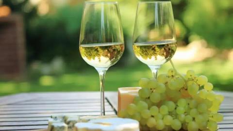 В Україні цьогоріч з'являться 10 нових крафтових виробників вина Рис.1
