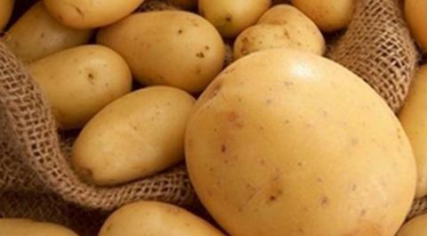 В Україні спостерігається зниження цін на картоплю нового врожаю Рис.1