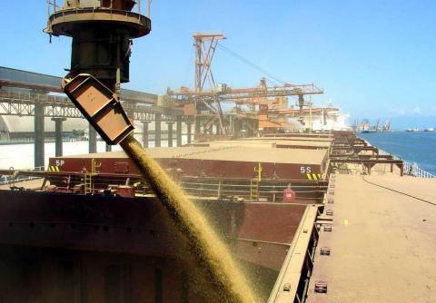 Дефіцит суден, дорогий фрахт та низькі ціни на зерно стримують експорт через порти Дунаю Рис.1