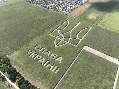 До книги рекордів Гіннеса України занесли найбільну площу національної символіки на кукурудзяному полі Рис.1
