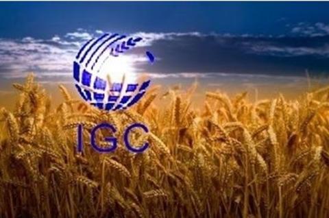 Експерти IGC прогнозують зниження запасів пшениці у 2023/24 МР Рис.1