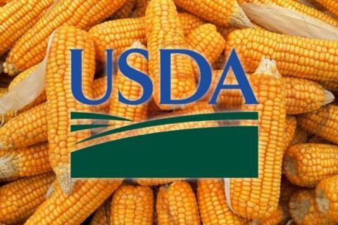Експерти USDA знизили прогнози виробництва, споживання та запасів кукурудзи у 2023/24, на що ціни відреагували падінням Рис.1