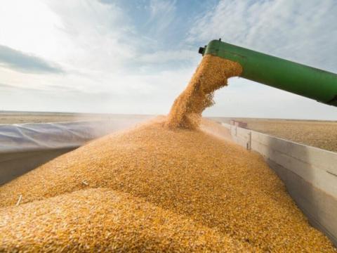 Експорт пшениці з ЄС за перший місяць нового сезону впав на 16%, - огляд іноземних ЗМІ 8-9.08.2023 Рис.1