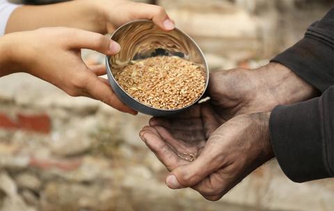 FAO б'є тривогу через ескалацію продовольчої кризи в Судані, - огляд іноземних ЗМІ 3-4.08.2023 Рис.1