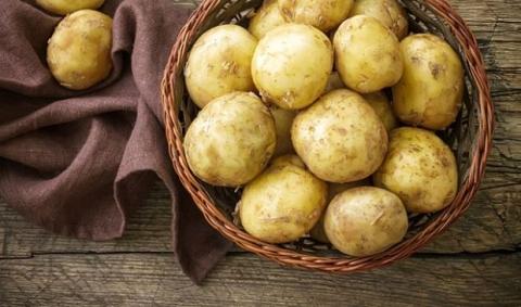 Генасамблея ООН може затвердити нове свято – Всесвітній день картоплі Рис.1