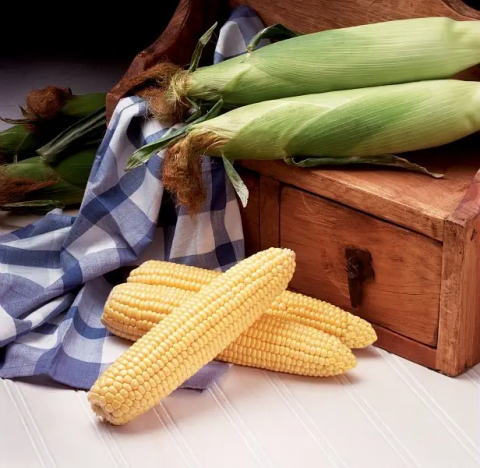Глобальний ринок упакованої кукурудзи в качанах досягне $2,9 млрд до 2030 року, - огляд іноземних ЗМІ 29-31.07.2023 Рис.1