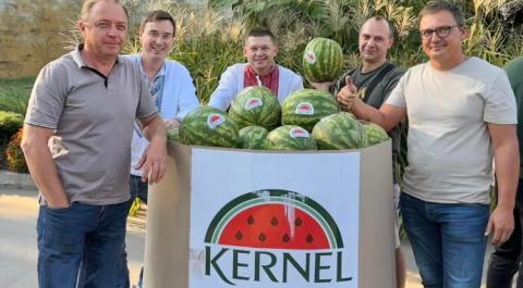 Компанія Kernel зібрала врожай кавунів Рис.1