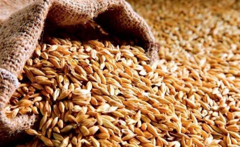 На експорт у серпні пішло більше мільйона тонн пшениці Рис.1