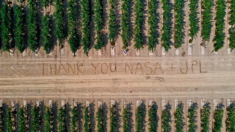 НАСА допомагає виявити хворобу винного винограду з неба Рис.1