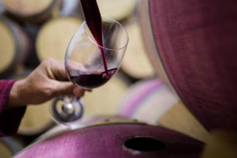 Парламент розглянув законопроекти про підтримку виноробів Рис.1