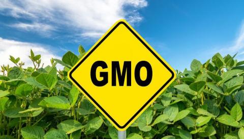Рада прийняла законопроєкт про ГМО Рис.1