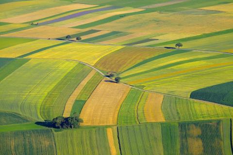 Українські аграрії можуть зменшити посів озимих на третину Рис.1