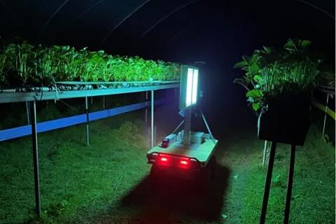 Ультрафіолетові та роботизовані технології запобігають борошнистій росі в садівництві Рис.1