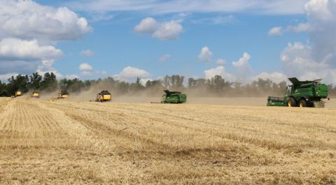 Урожайність пшениці на Вінниччині додала 25% Рис.1
