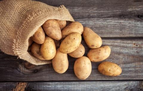 Дослідження відкривають шлях до більш ефективного вирощування картоплі Рис.1