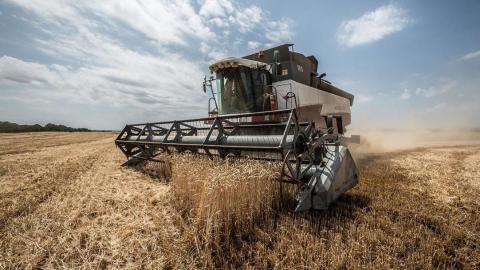 Ліцензії на експорт зерна з України до Румунії запрацюють через 30 днів Рис.1