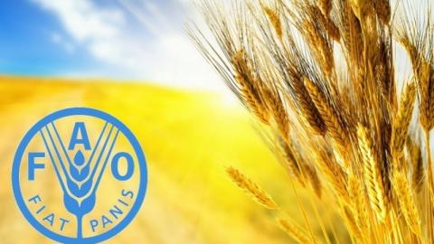 Мінагрополітики взяло участь у 43-ій сесії Європейської комісії Продовольчої та сільськогосподарської організації ФАО з сільського господарства Рис.1