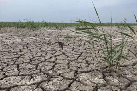 Осушення Каховського водосховища може посилити тенденції опустелювання півдня України Рис.1