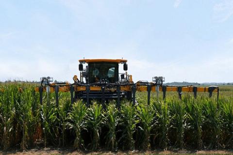 Pairwise та Bayer співпрацюють для подальшого просування низькорослої кукурудзи Рис.1