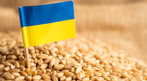Після тестування системи контролю імпорту українського зерна Словаччина буде готова скасувати заборону Рис.1