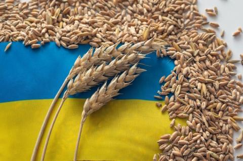 Польща, Угорщина та Словаччина ввели односторонню заборону імпорту зерна з України Рис.1