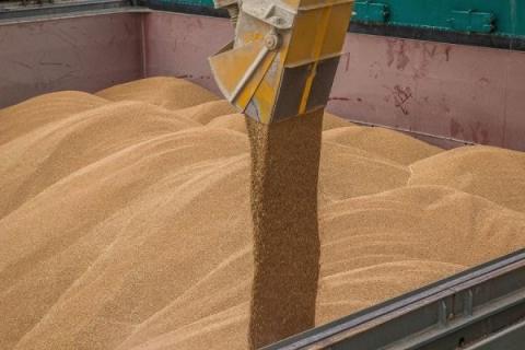 Україна відправить 20 тис. тонн пшениці в країни Азії та Африки Рис.1