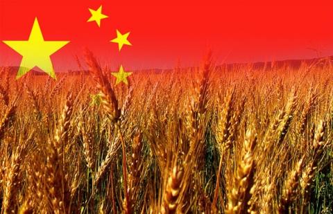 Китай цьогоріч планує зібрати рекордний урожай зерна Рис.1