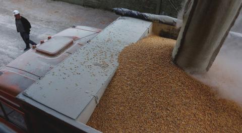 На українському зерновому ринку прогнозується логістичний колапс Рис.1