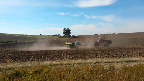 Поточні погодні умови в Україні дозоляють продовжувати сівбу озимої пшениці Рис.1