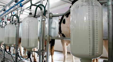 Швейцарія збільшить допомогу молочним господарствам в Україні Рис.1