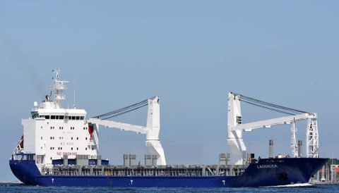 У порт Туреччини зайшло судно з краденим українським зерном Рис.1