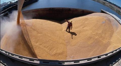 Україна відправила тимчасовим коридором понад 1 млн т зерна Рис.1