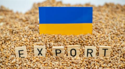 В Україні планують змінити правила експорту аграрної продукції Рис.1