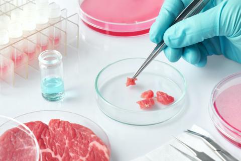 Італія забороняє вирощувати м’ясо в лабораторії, - огляд іноземних ЗМІ 19-21.11.2023 Рис.1