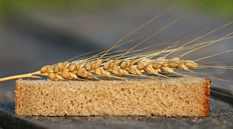 Латвія виділила ще €50 тис. для Grain from Ukraine Рис.1