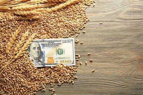 Пшеничні котирування незначно виросли, компенсувавши падіння попереднього тижня Рис.1