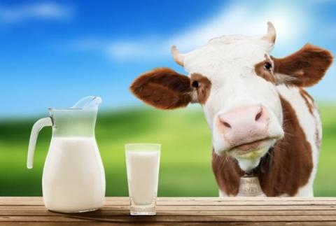 Битва за молоко: на що готові переробники, щоб не залишитися без сировини Рис.1