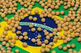 Покращення погоди в Бразилії сприяє завершенню сівби сої Рис.1