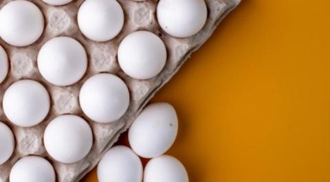 Україна експортувала яєць на $58 млн Рис.1