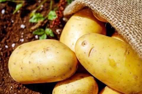 В Україні нові рекорди цін на картоплю Рис.1